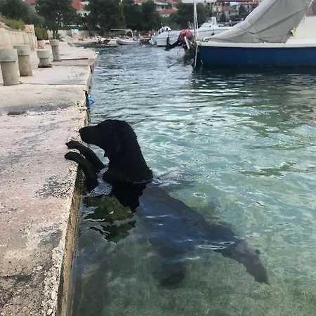 Appartement Fabjanac Trogir