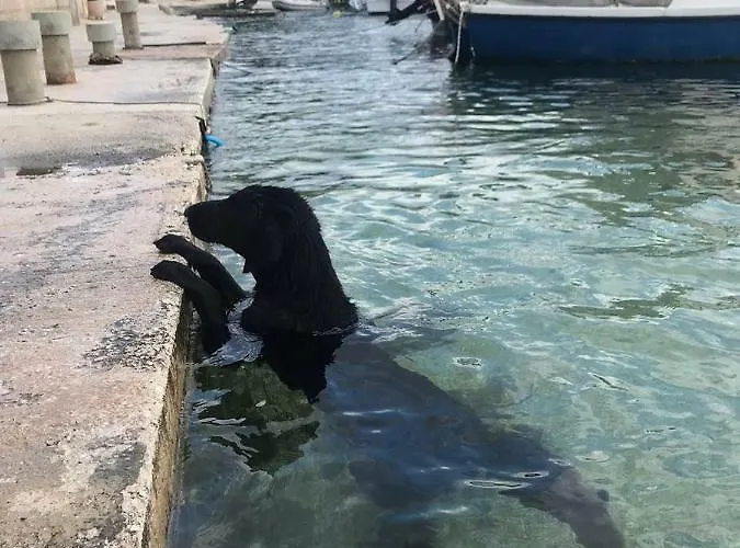 Appartement Fabjanac Trogir